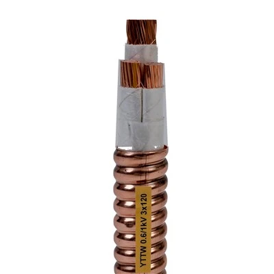 600 1000v Cáp bọc thép